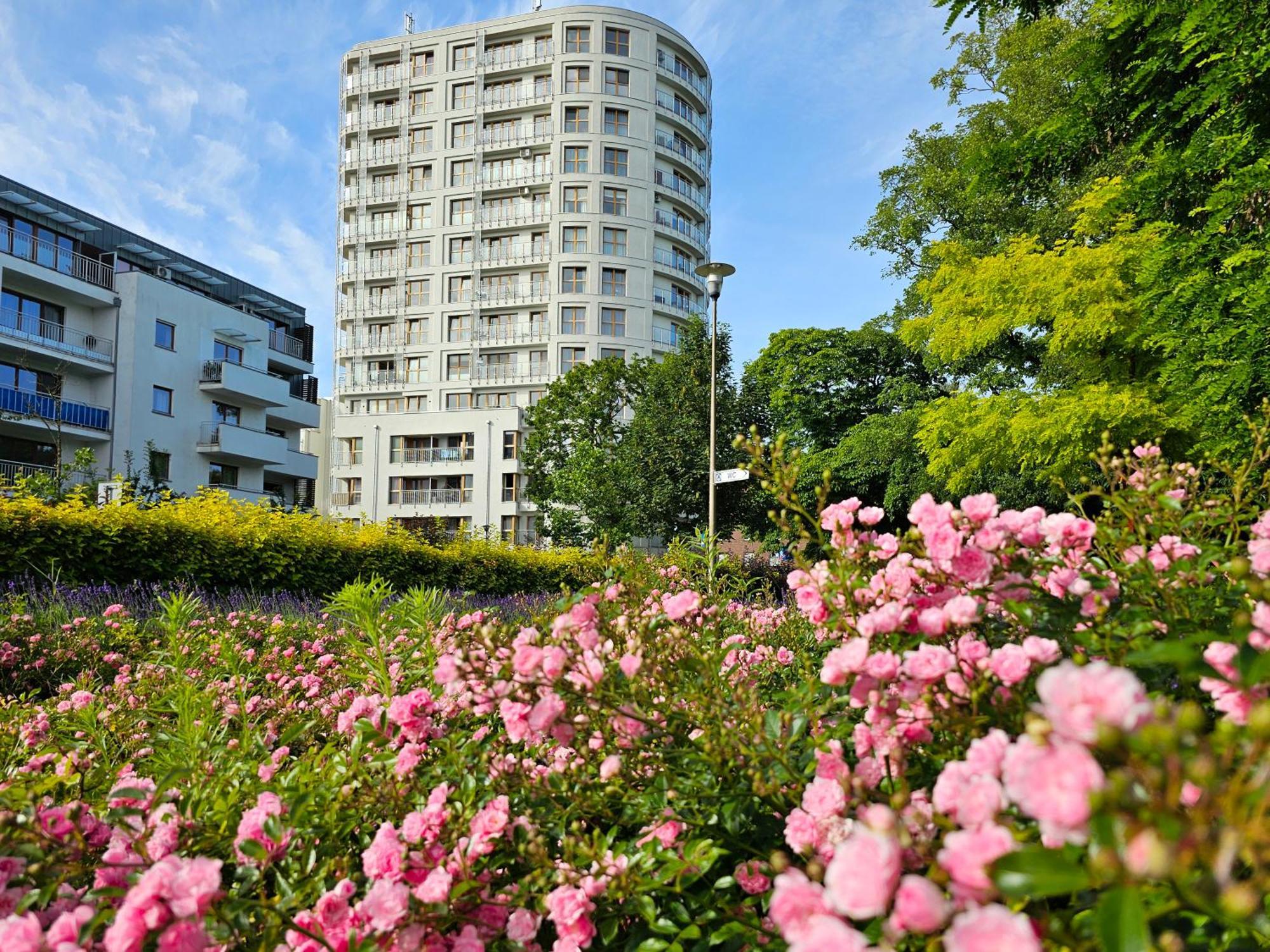 Visit Baltic - Platan *
